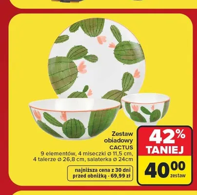 Zestaw obiadowy Cactus promocja w Carrefour
