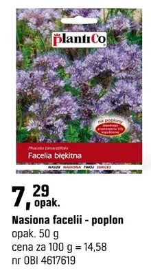 Nasiona facelii - peplon promocja w OBI