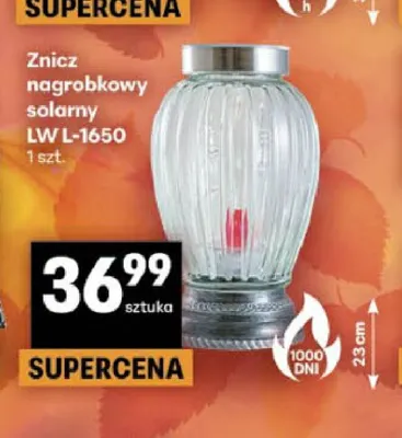 Znicz nagrobkowy solarny Lw L-1650 promocja w Delikatesy Centrum