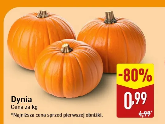 Dynia promocja w Aldi