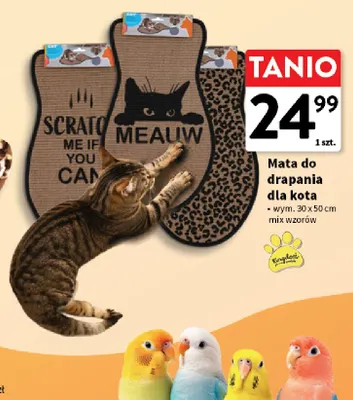 Mata do drapania dla kota 30x50 cm Kingdom promocja w Intermarche