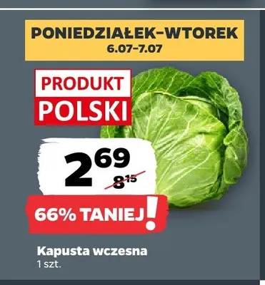 Kapusta wczesna promocja w Netto