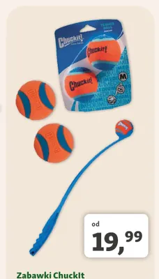Zabawki dla psa Chuckit! promocja w MAXI ZOO