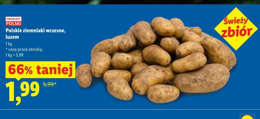 Ziemniaki wczesne Ryneczek Lidla polskie promocja w Lidl