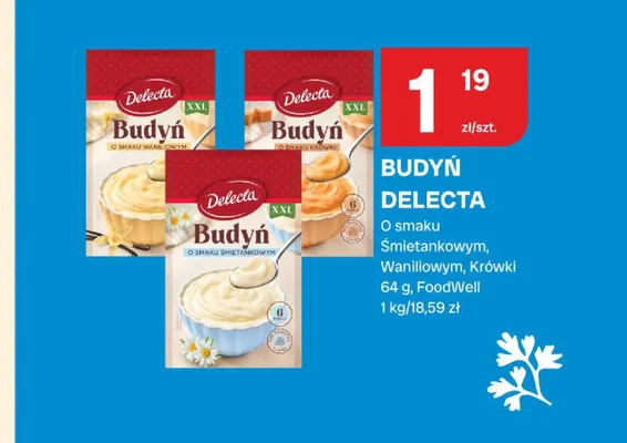 Budyń o smaku śmietankowym Delecta promocja w Chorten