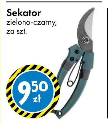 Sekator zielono-czarny promocja w Tedi