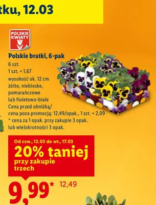 Polskie bratki, 6-pak promocja w Lidl