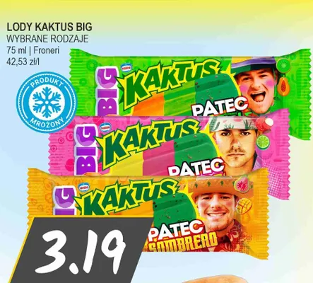 Lody impulsowe Kaktus Big Datec promocja w Słoneczko