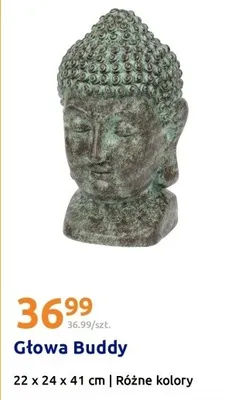 Głowa Buddy promocja w Action