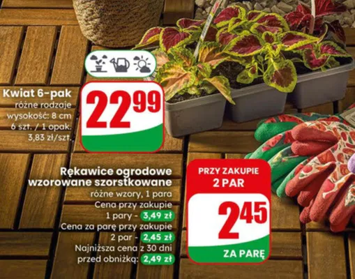 Rękawice ogrodowe wzorowane szorstkowane różne wzory promocja w Dino