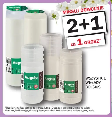 Wkłady Bolsius promocja w Selgros