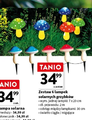 Zestaw 6 lampek solarnych grzybków promocja w Intermarche