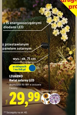 Kwiat solany LED z 15 energooszczędnymi diodami LED promocja w Lidl