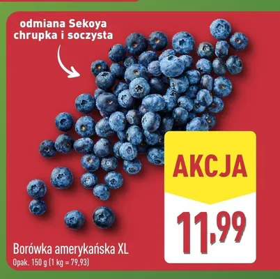 Borówka amerykańska XL promocja w Aldi