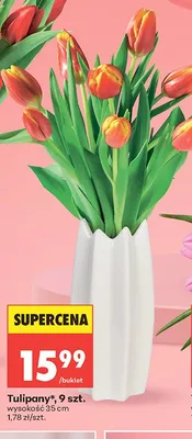 Tulipany 9szt. wysokość 35cm promocja w Biedronka