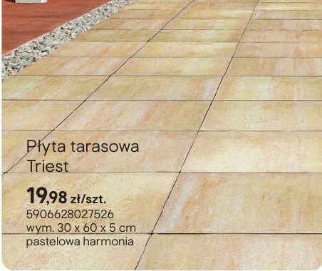 Płyta tarasowa Triest pastelowa harmonia promocja w Castorama
