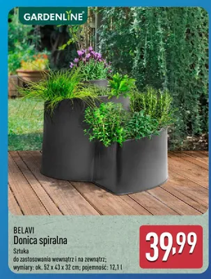 Donica spiralna promocja w Aldi