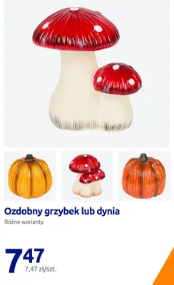 Ozdobna dynia promocja w Action