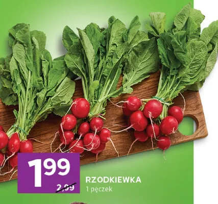 Rzodkiewka promocja w Stokrotka