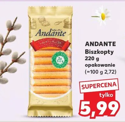 Biszkopaty promocja w Kaufland
