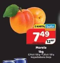 Morele promocja w Delfin