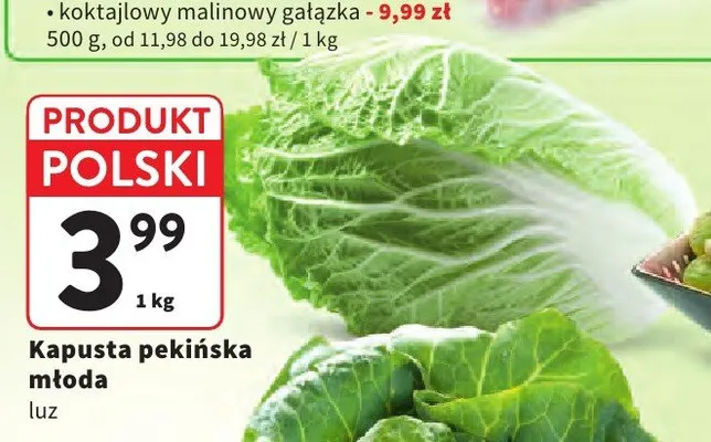 Kapusta pekińska młoda promocja w Intermarche