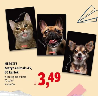 Zeszyt Herlitz Animals A5 60 kartek w kratkę promocja w Lidl