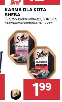 Karma dla kota Sheba promocja w Stokrotka