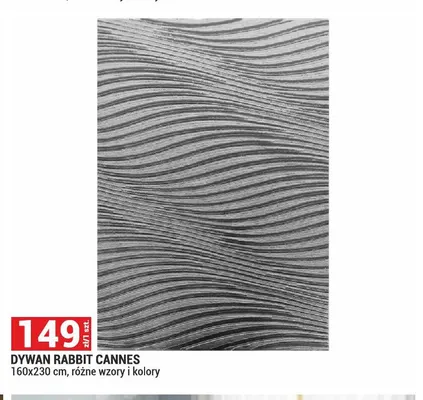 Dywan Rabbit Cannes 160x230 cm promocja w Merkury Market