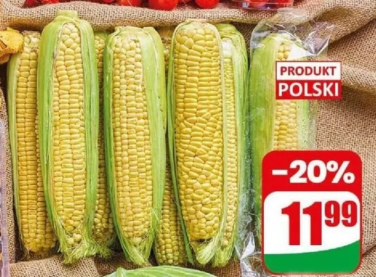 Kukurydza kolba promocja w Dino