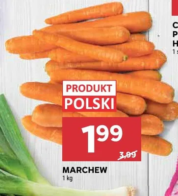 Marchew promocja w Stokrotka