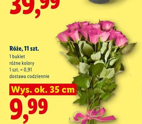 Róże 11-pak wys. ok. 35 cm promocja w Lidl