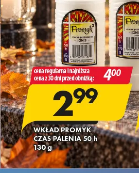 Wkład Promyk czas palenia 50h promocja w Prymus AGD