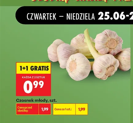 Czosnek młody promocja w Biedronka