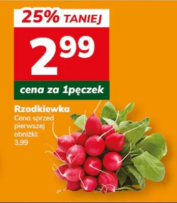 Rzodkiewka promocja w Hitpol