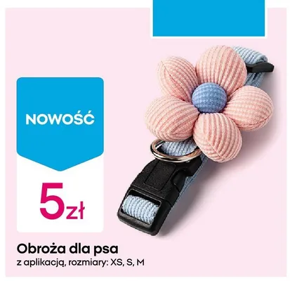 Obroża dla psa z aplikacją promocja w Pepco