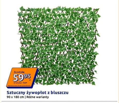 Sztuczny żywopłot z bluszczu promocja w Action