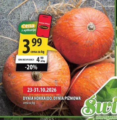 Dynia hokkaido promocja w Arhelan