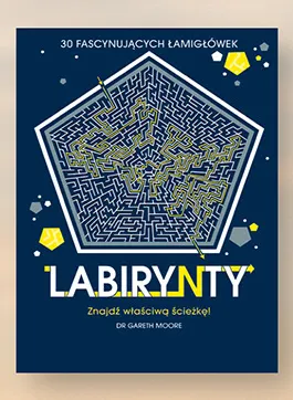 Książka Labirynty 30 fascynujących łamigłówek Dr Gareth Moore promocja w Biedronka