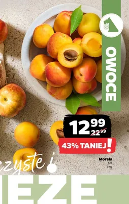 Morela luz promocja w Netto