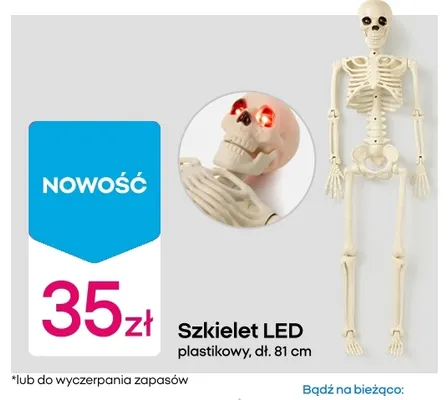 Szkielet LED plastikowy promocja w Pepco