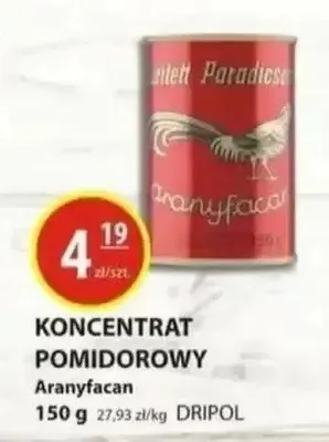 Koncentrat pomidorowy  promocja w Zielony Koszyk