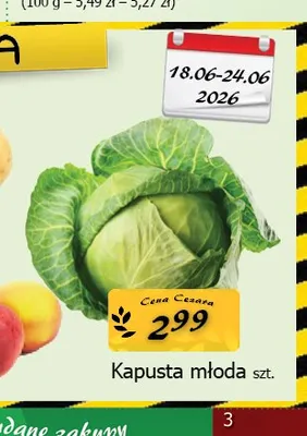 Kapusta młoda promocja w CEZAR Delikatesy