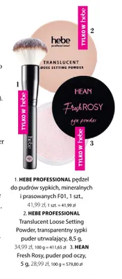 Translucent Loose Setting Powder transparentny sypki puder utrwalający Hebe Professional promocja w Hebe