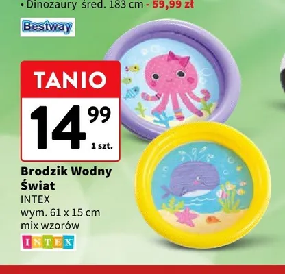 Brodzik Wodny Świat INTEX promocja w Intermarche