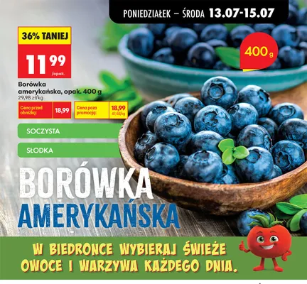 Borówka amerykańska promocja w Biedronka