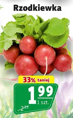 Rzodkiewka promocja w Prim Market