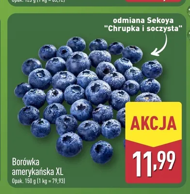 Borówka amerykańska XL promocja w Aldi