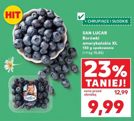 Borówki amerykańskie XL promocja w Kaufland