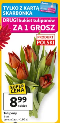 Tulipany promocja w Auchan